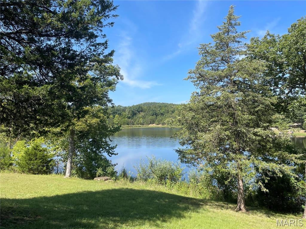 2206 Big River Trail Property Photo 44