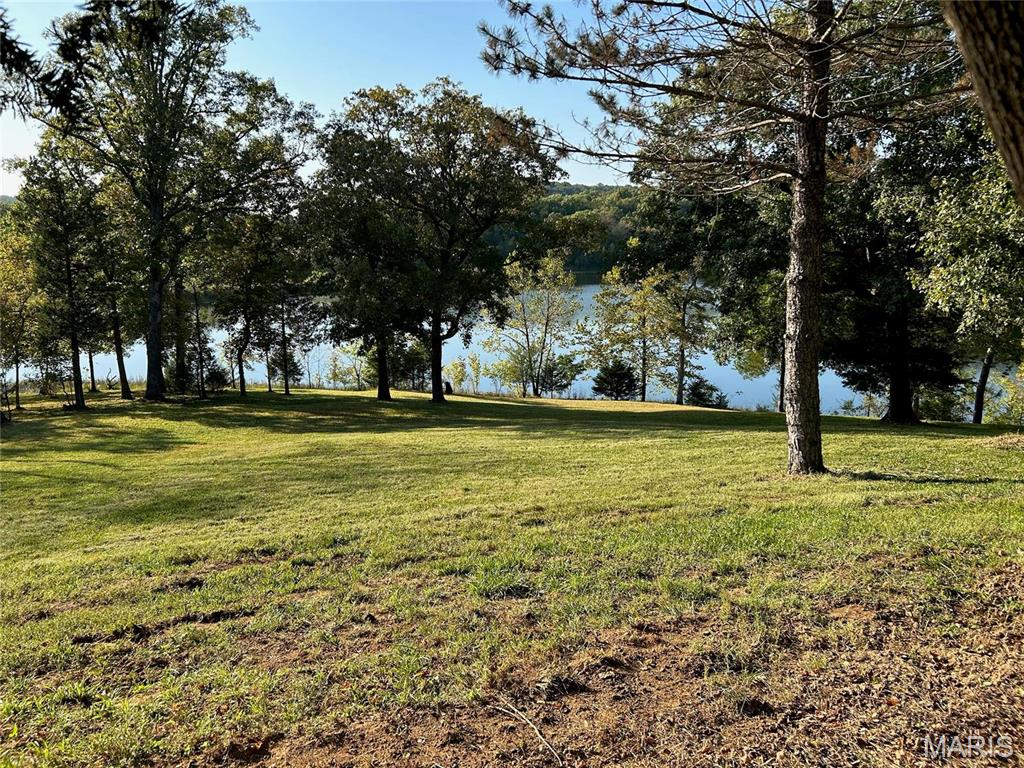 2206 Big River Trail Property Photo 45