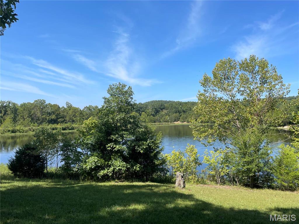 2206 Big River Trail Property Photo 46