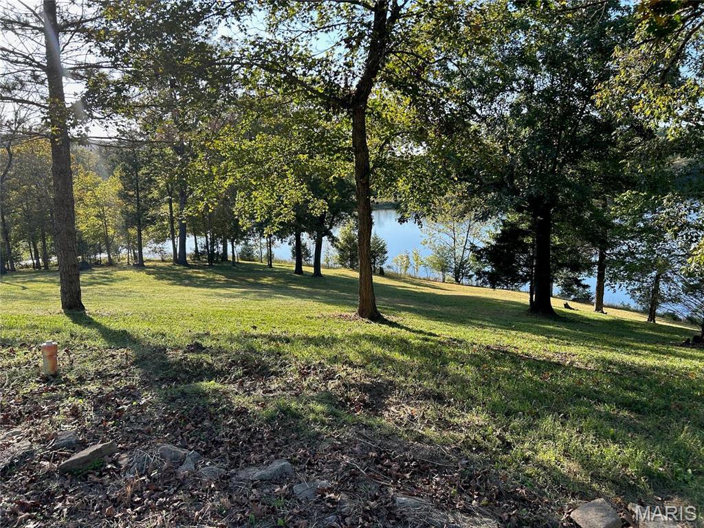 2206 Big River Trail Property Photo 47