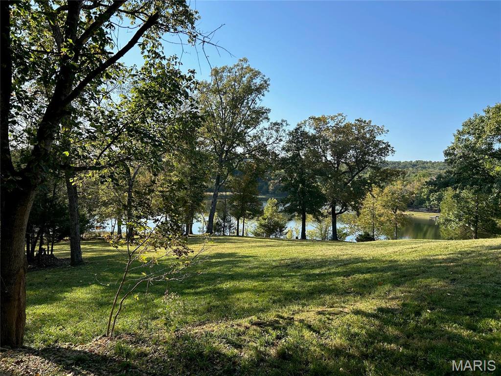 2206 Big River Trail Property Photo 48