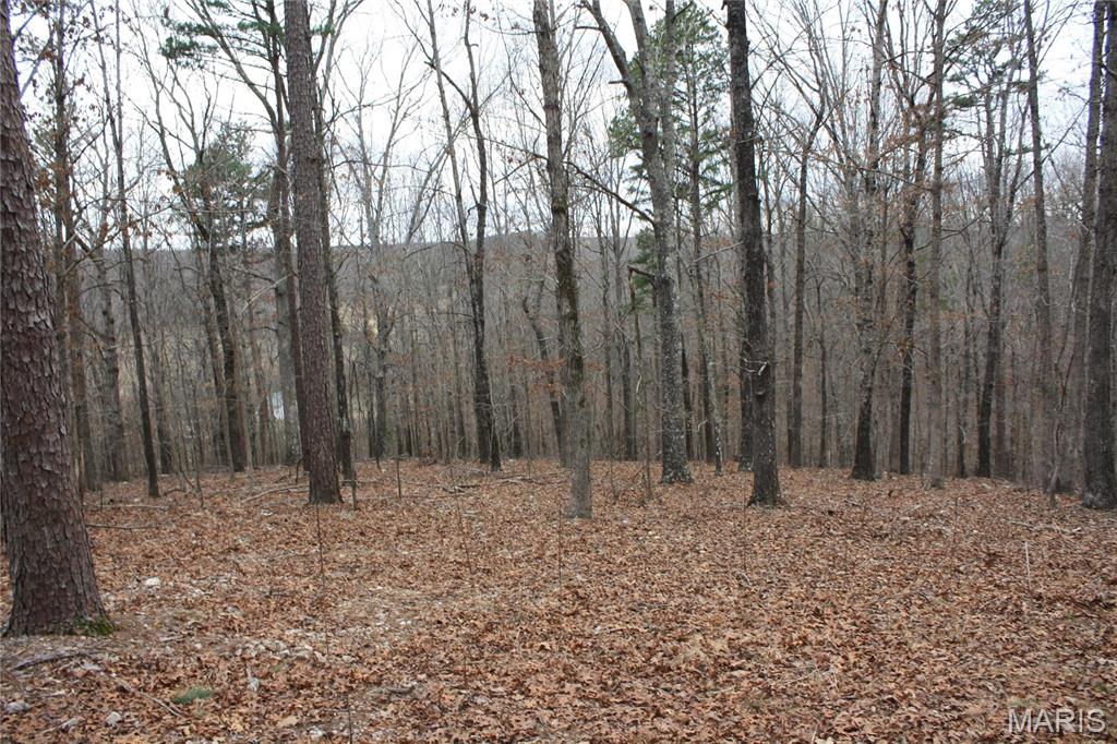 0 Carter 154 Property Photo 1
