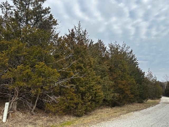 0 Sassafras Dr, Sect 19, Lot 209 Property Photo 1