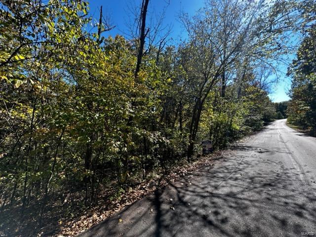 9694 Lot 95a (.5 Acre) Magnolia Dr Property Photo 5