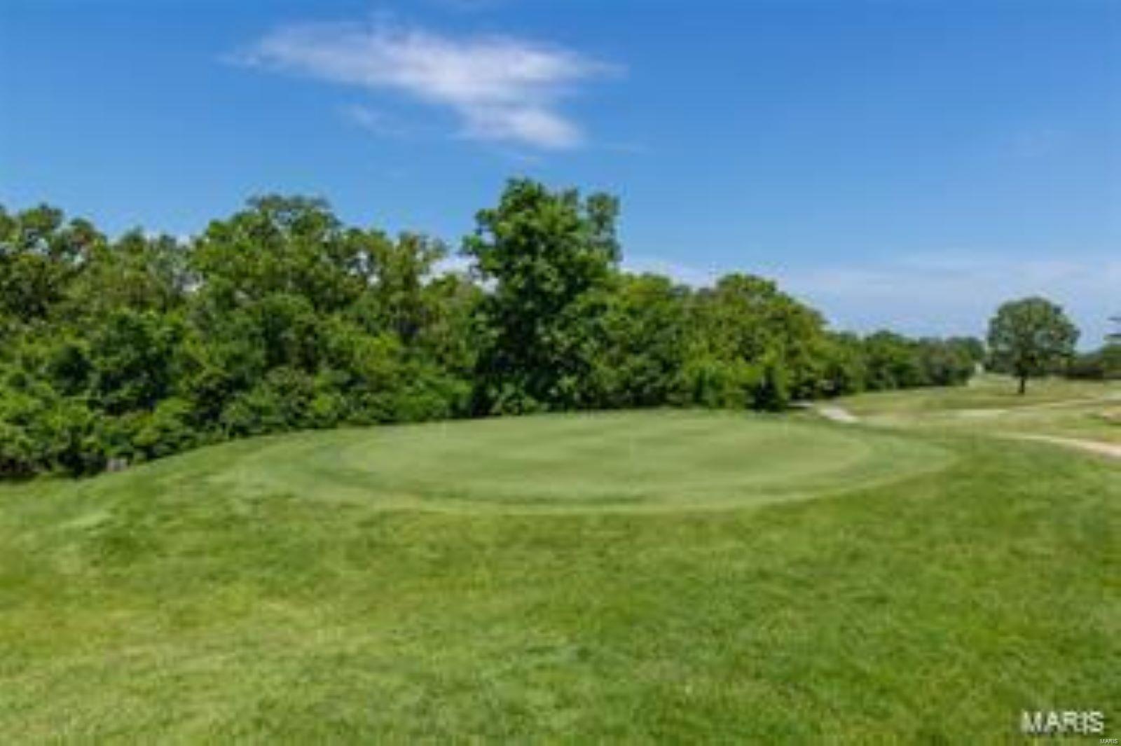 9694 Lot 95a (.5 Acre) Magnolia Dr Property Photo 13