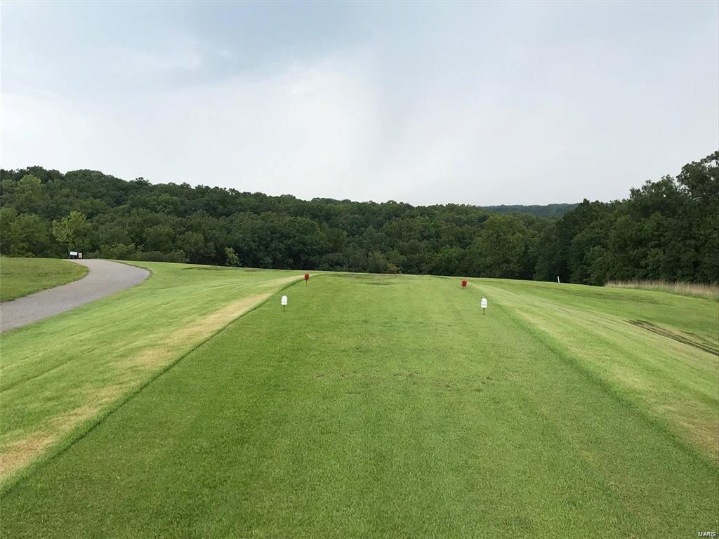 9694 Lot 95a (.5 Acre) Magnolia Dr Property Photo 19