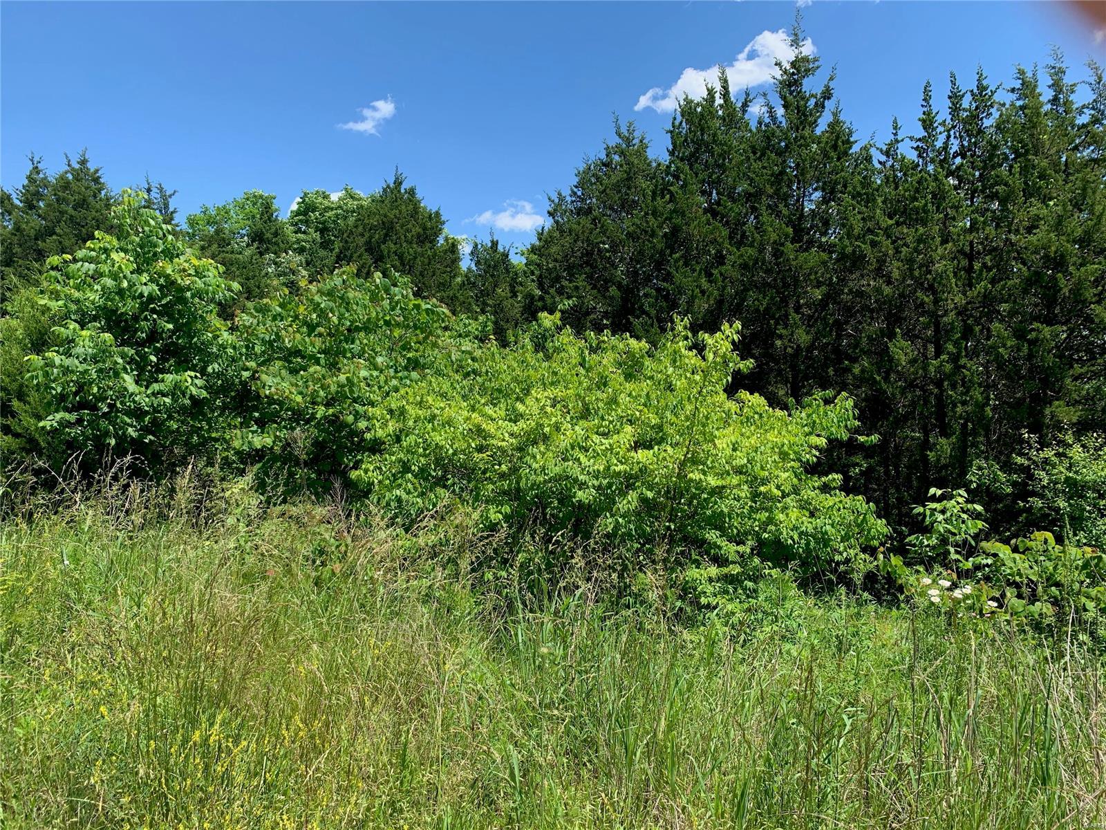 0 Old Route 21 Property Photo 2