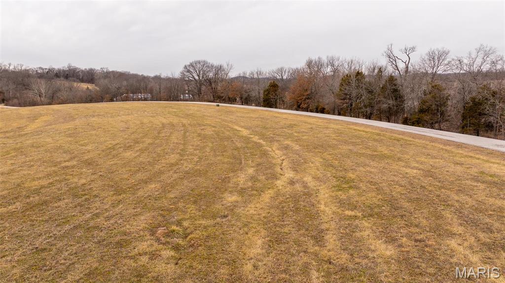 10678 Churchill Downs Road Property Photo 12
