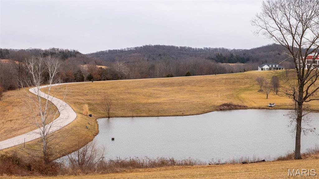 10678 Churchill Downs Road Property Photo 22