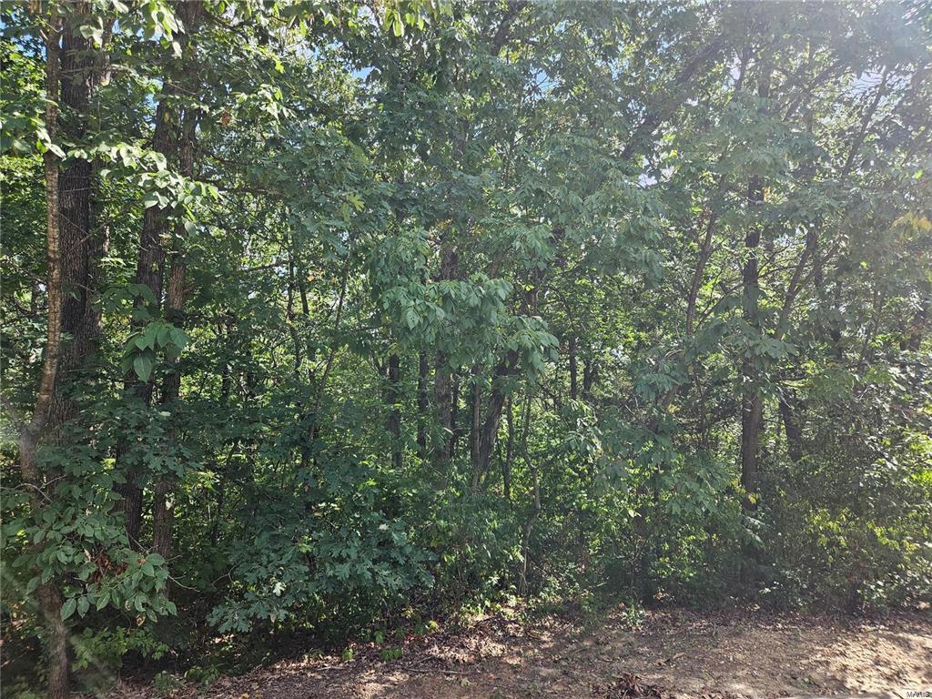 0 Lot 17 Tarrant's Estates Property Photo