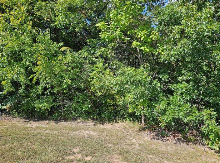 0 Lot 16 Tarrant's Estates Property Photo