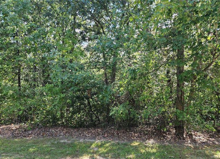 0 Lot 13 Tarrant's Estates Property Photo