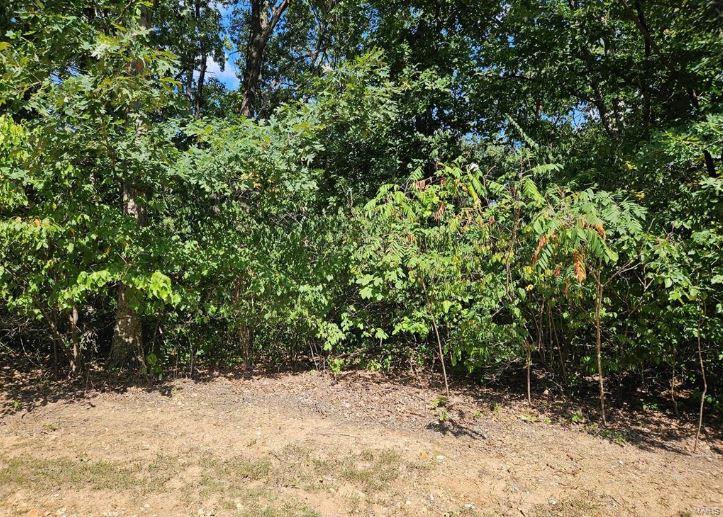 0 Lot 11 Tarrant's Estates Property Photo