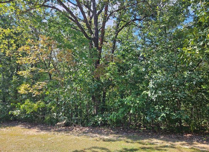 0 Lot 7 Tarrant's Estates Property Photo
