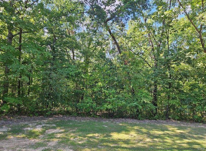 0 Lot 4 Tarrant's Estates Property Photo