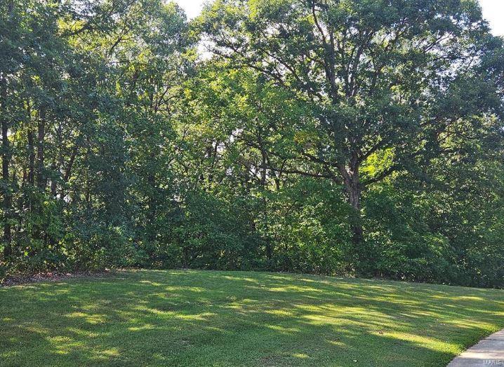 0 Lot 3 Tarrant's Estates Property Photo