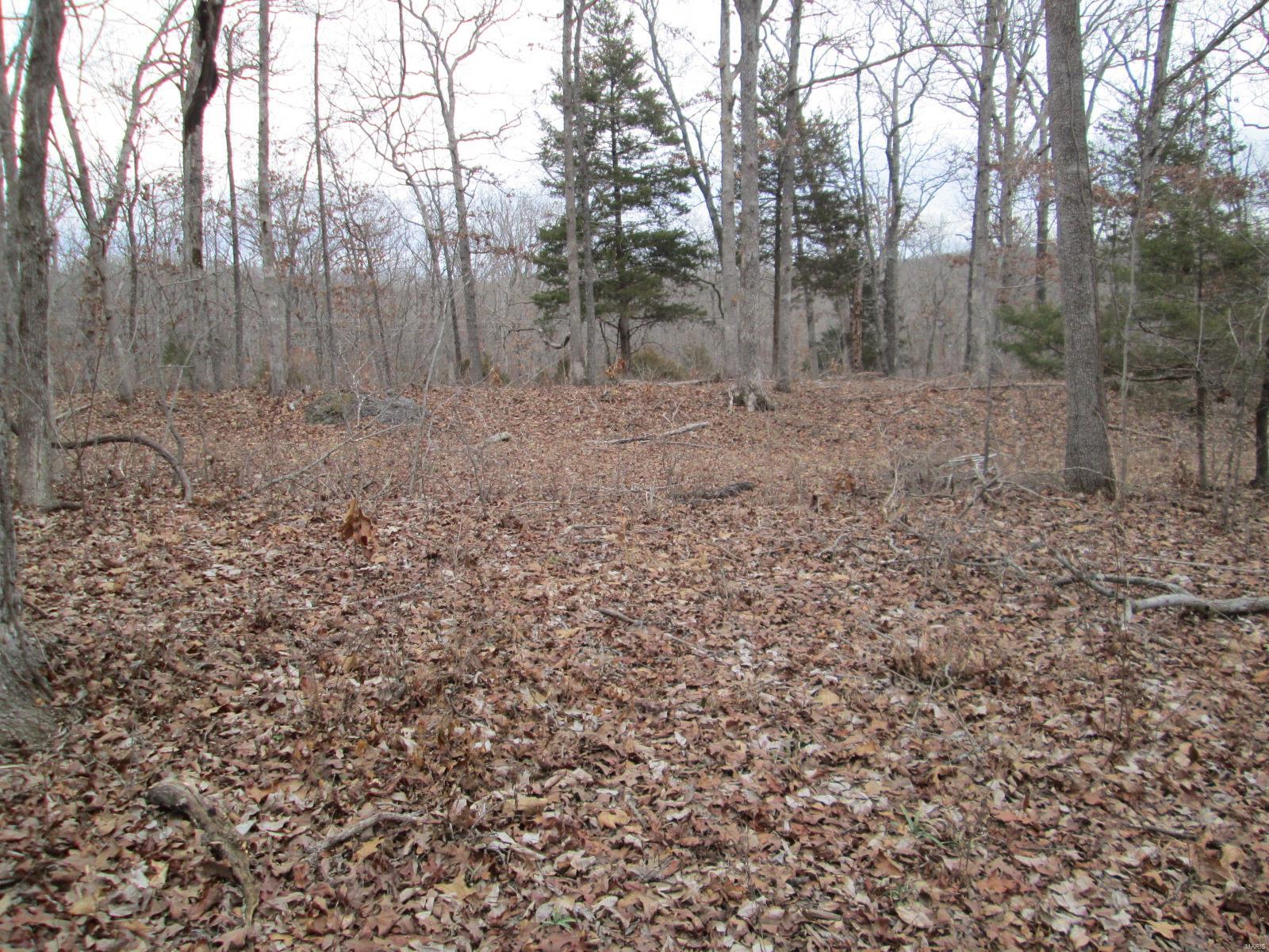 0 Mo-30/gravois Rd Property Photo 2