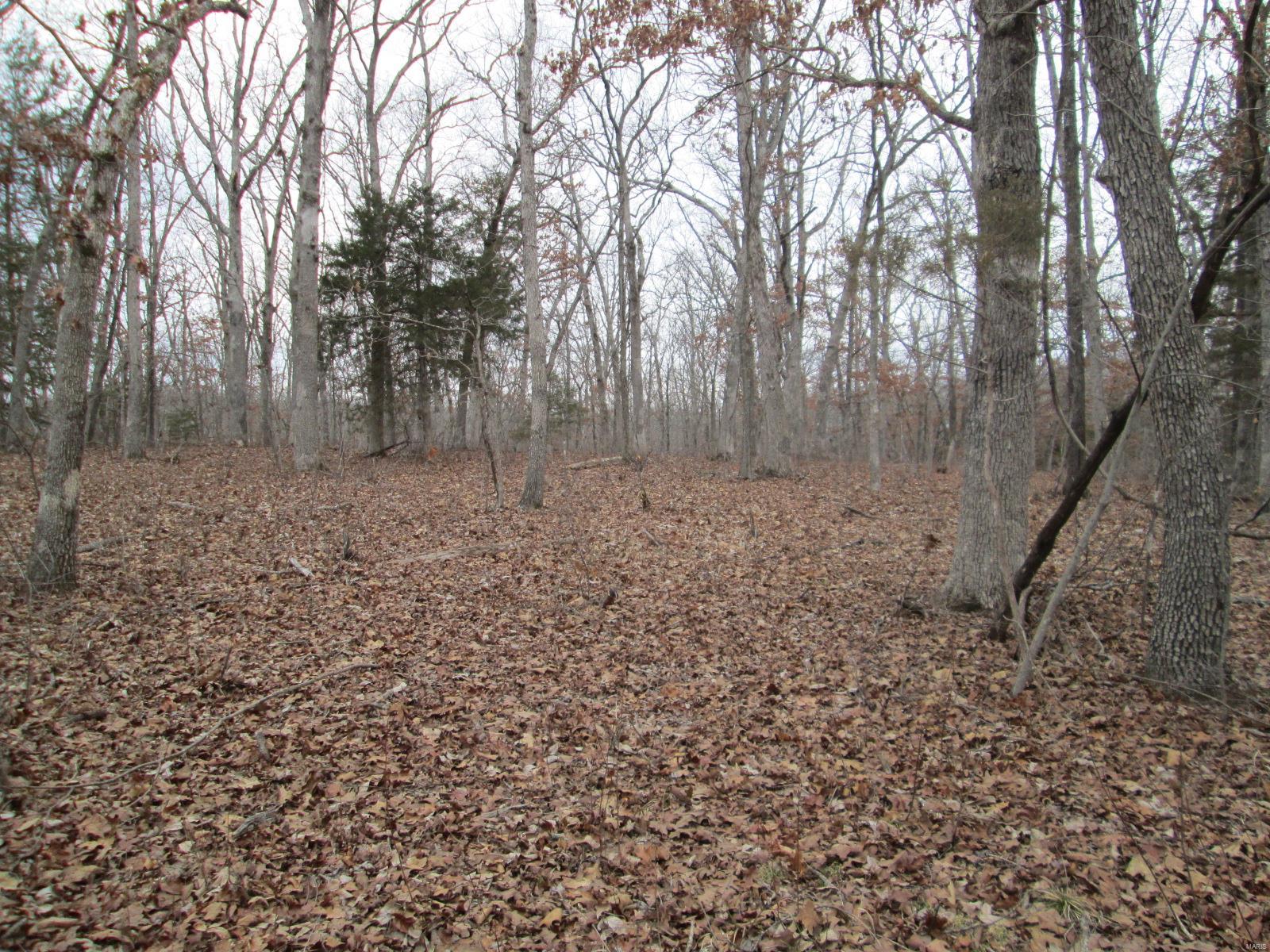 0 Mo-30/gravois Rd Property Photo 3