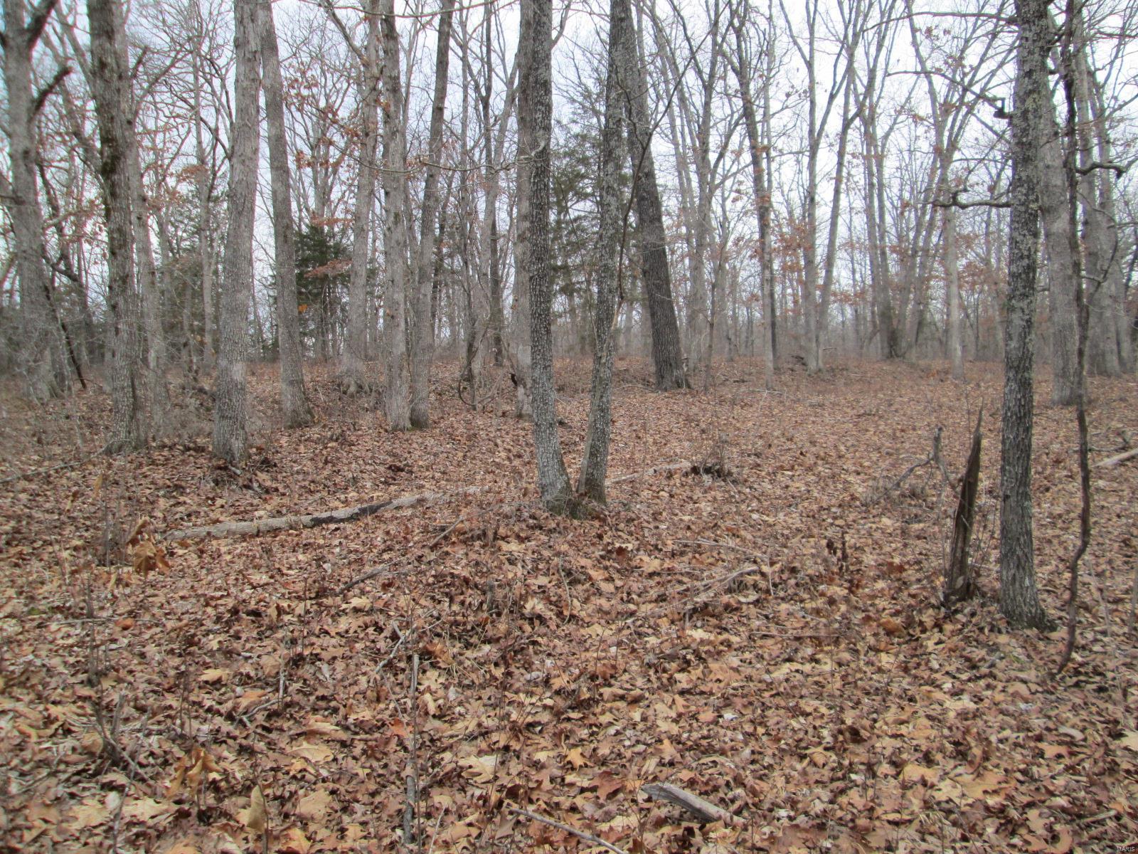 0 Mo-30/gravois Rd Property Photo 5