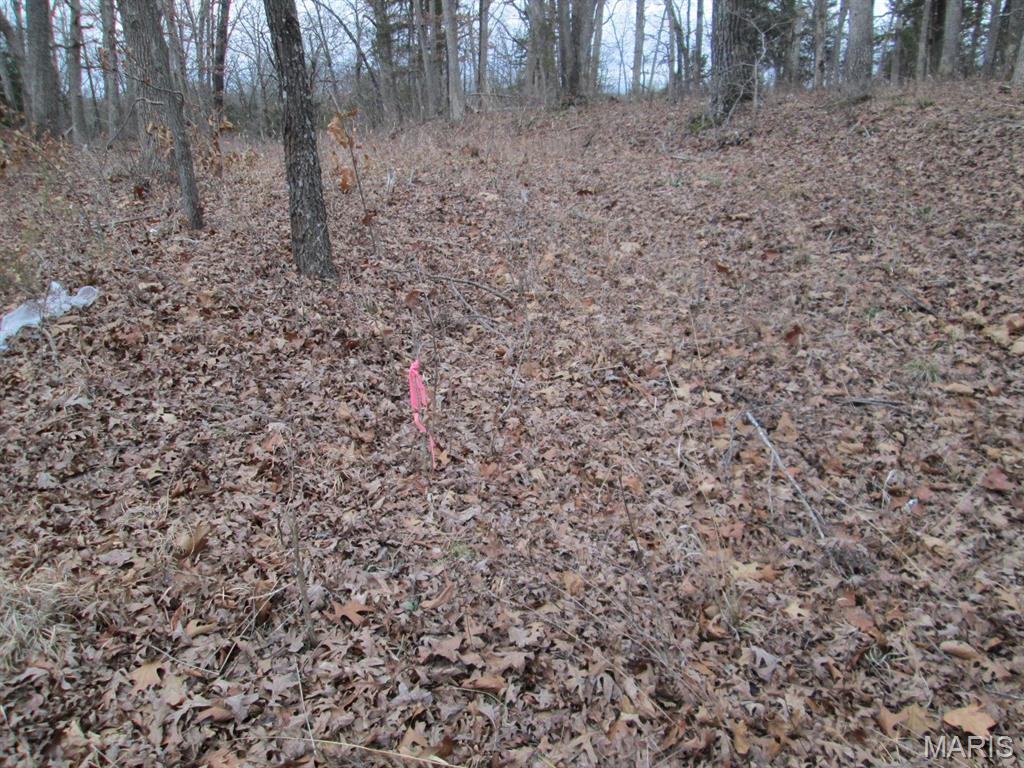 0 Mo-30/gravois Rd Property Photo 8