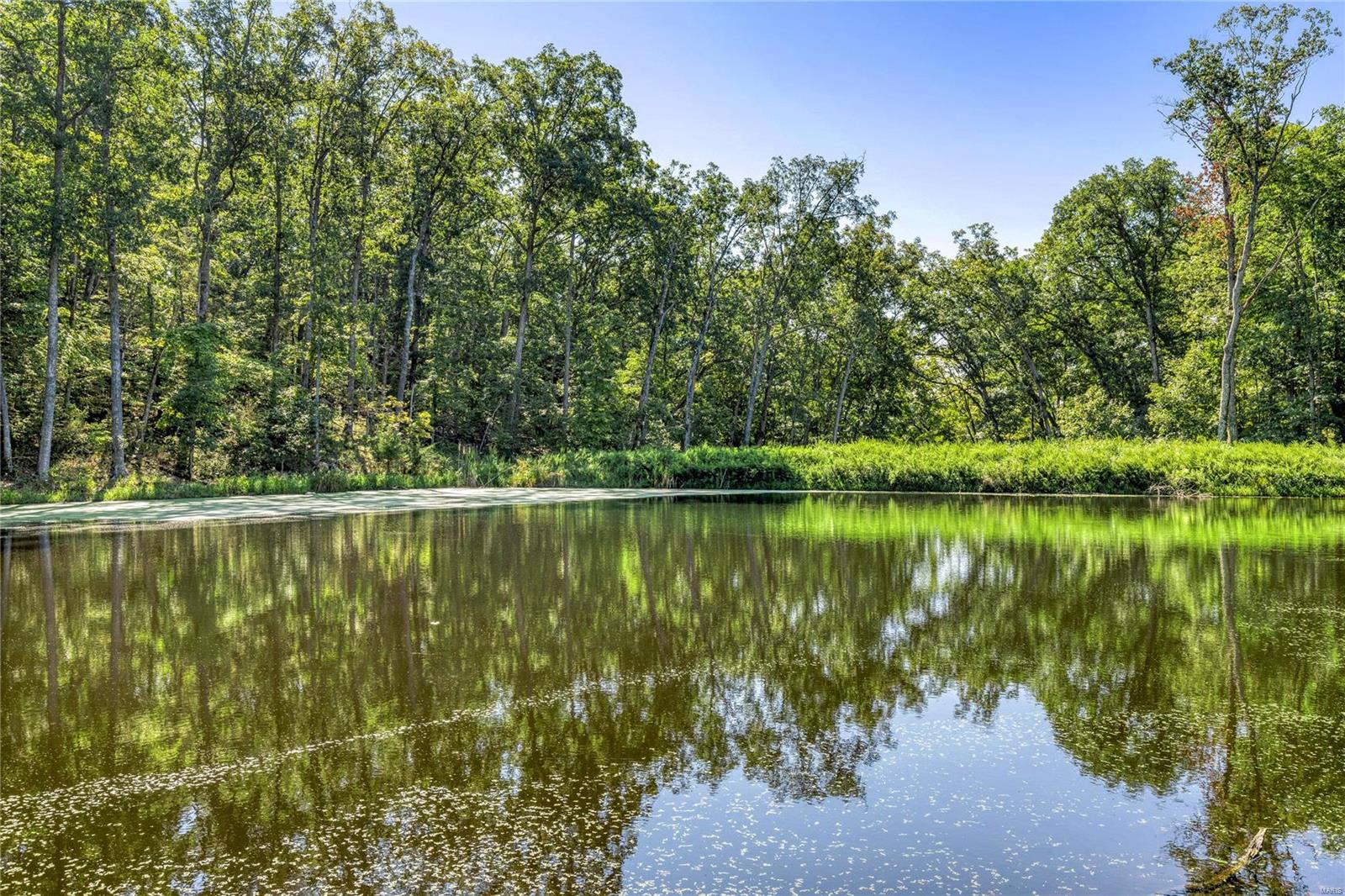 2467 Alpine Lake Drive Property Photo 4