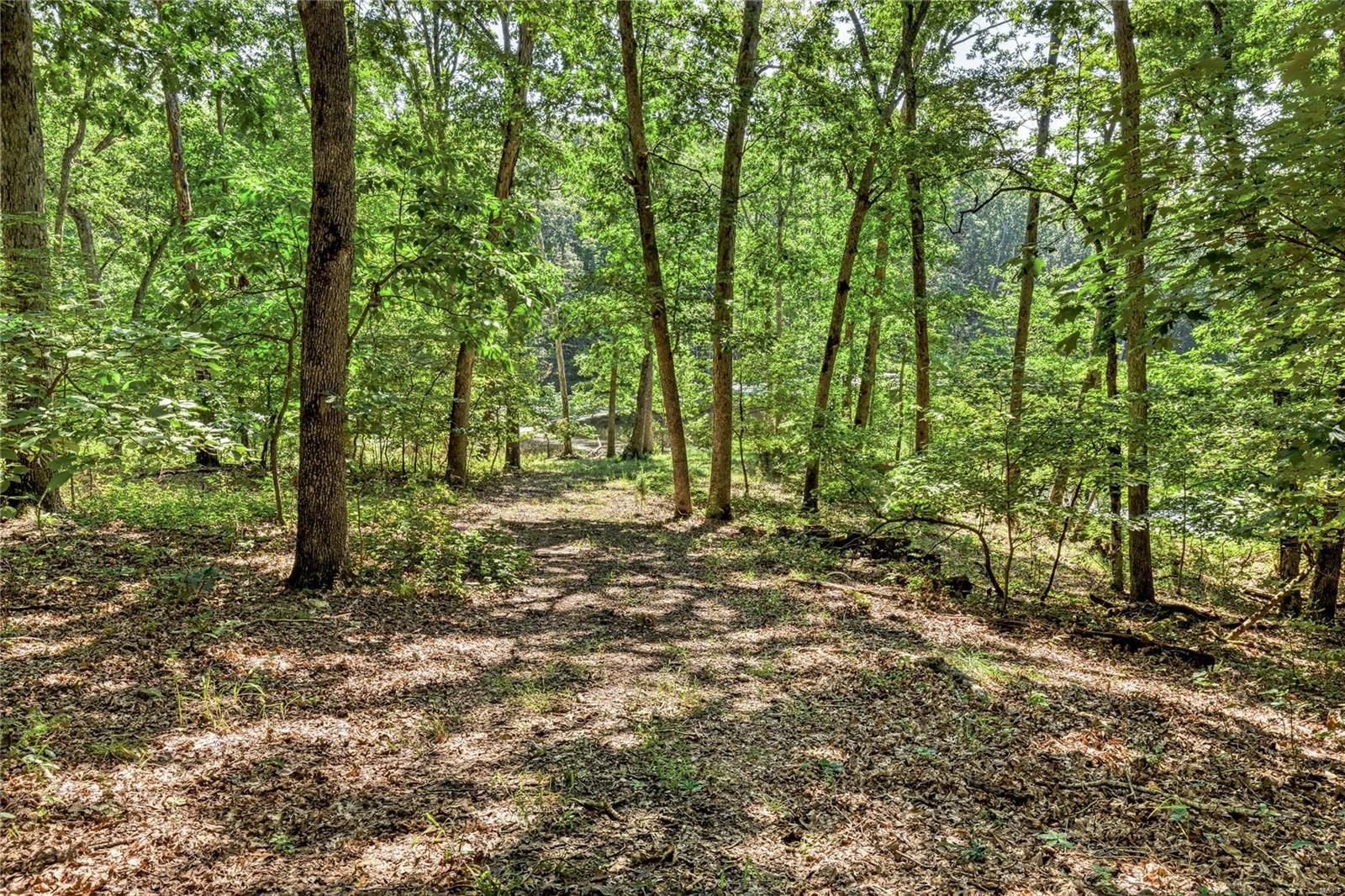 2467 Alpine Lake Drive Property Photo 7