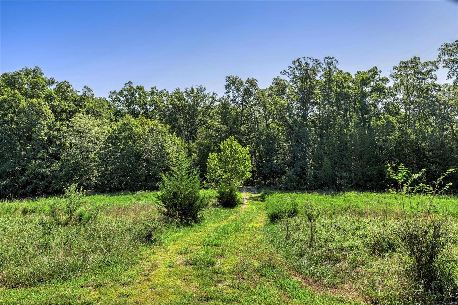 2467 Alpine Lake Drive Property Photo 16