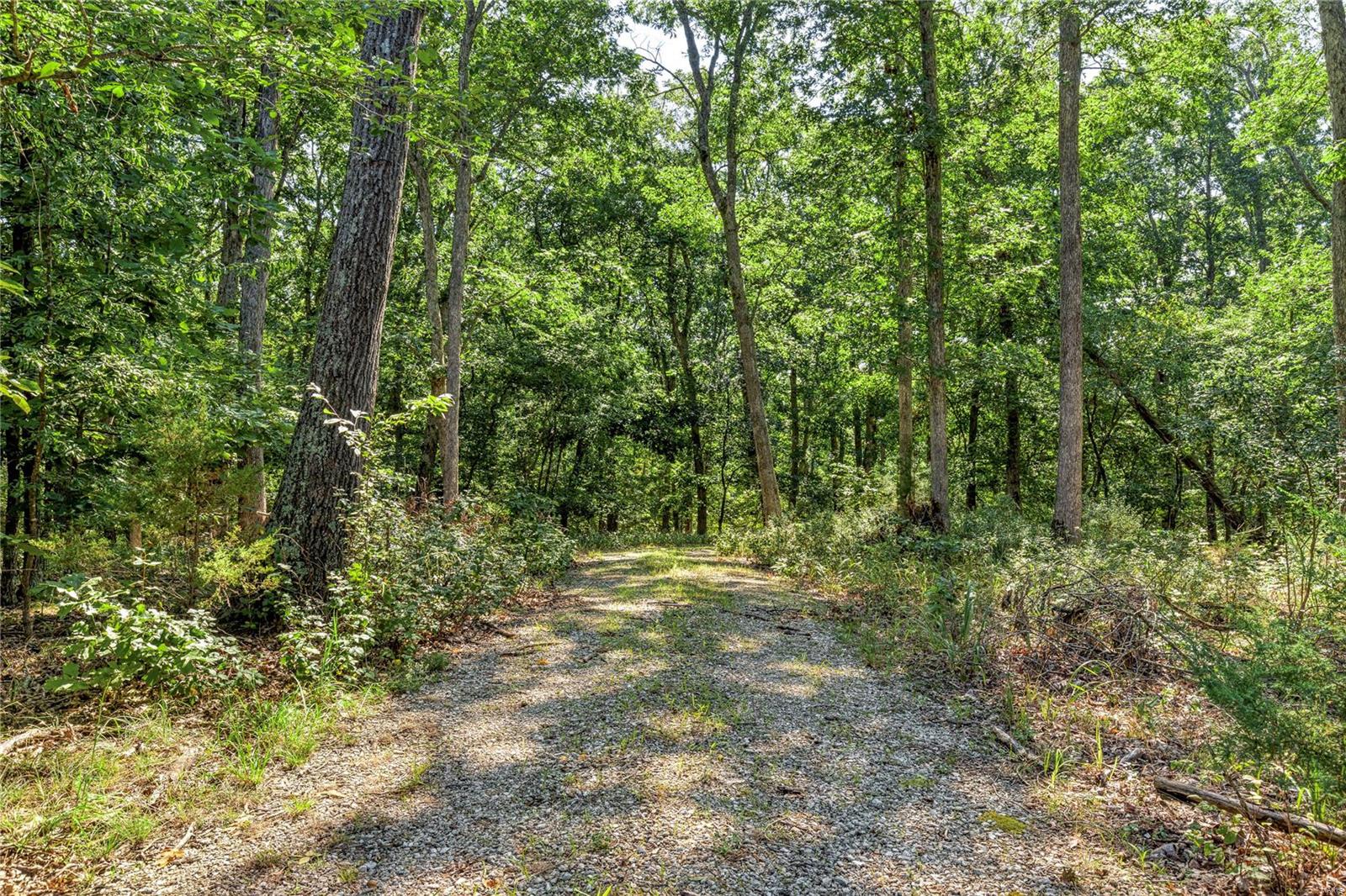 2467 Alpine Lake Drive Property Photo 18