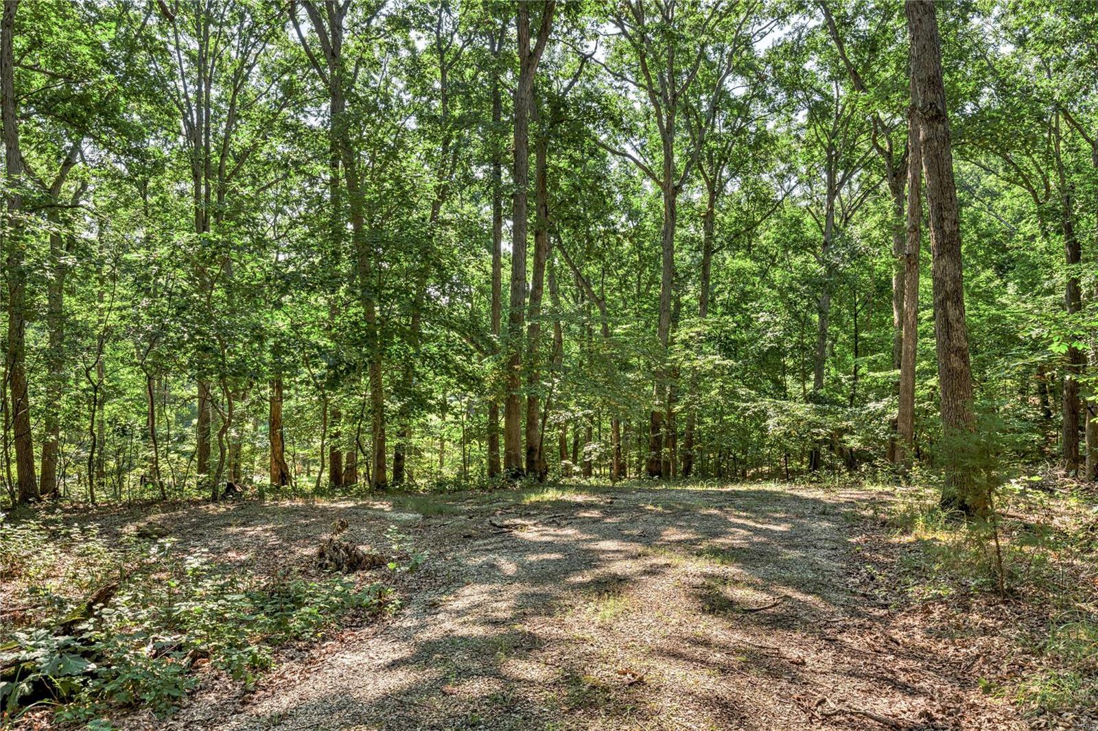 2467 Alpine Lake Drive Property Photo 19