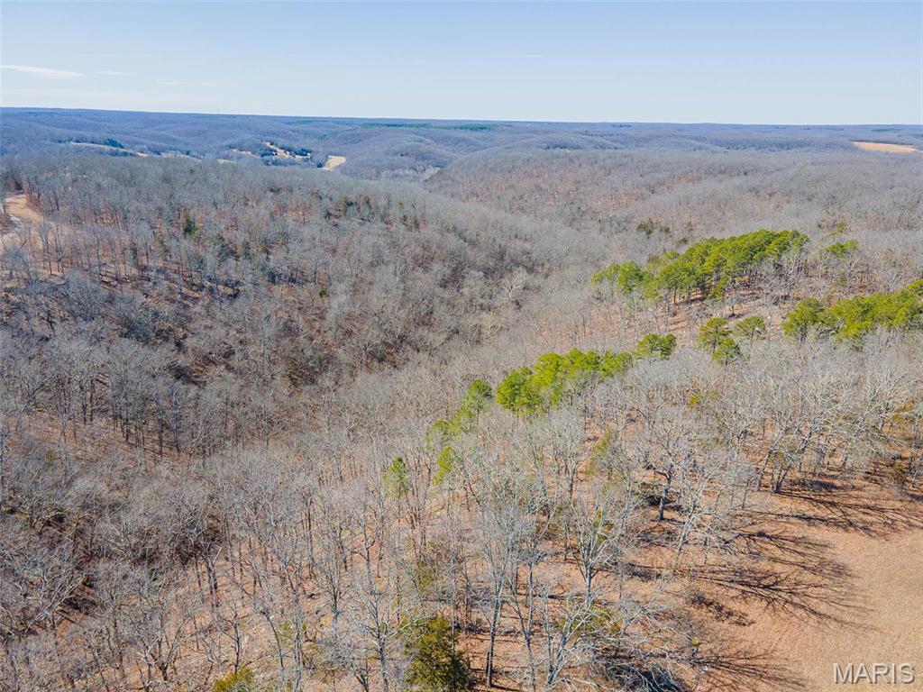 0 24.6 Acres, Highway Oo Property Photo 8