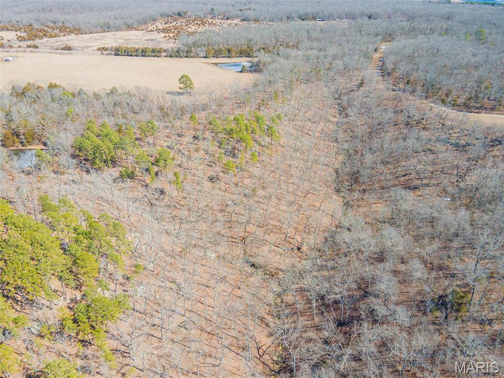 0 24.6 Acres, Highway Oo Property Photo 13