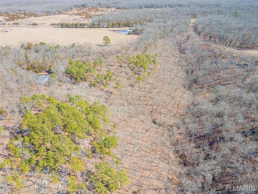 0 24.6 Acres, Highway Oo Property Photo 14