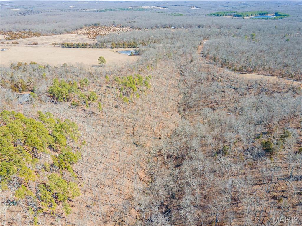 0 24.6 Acres, Highway Oo Property Photo 17