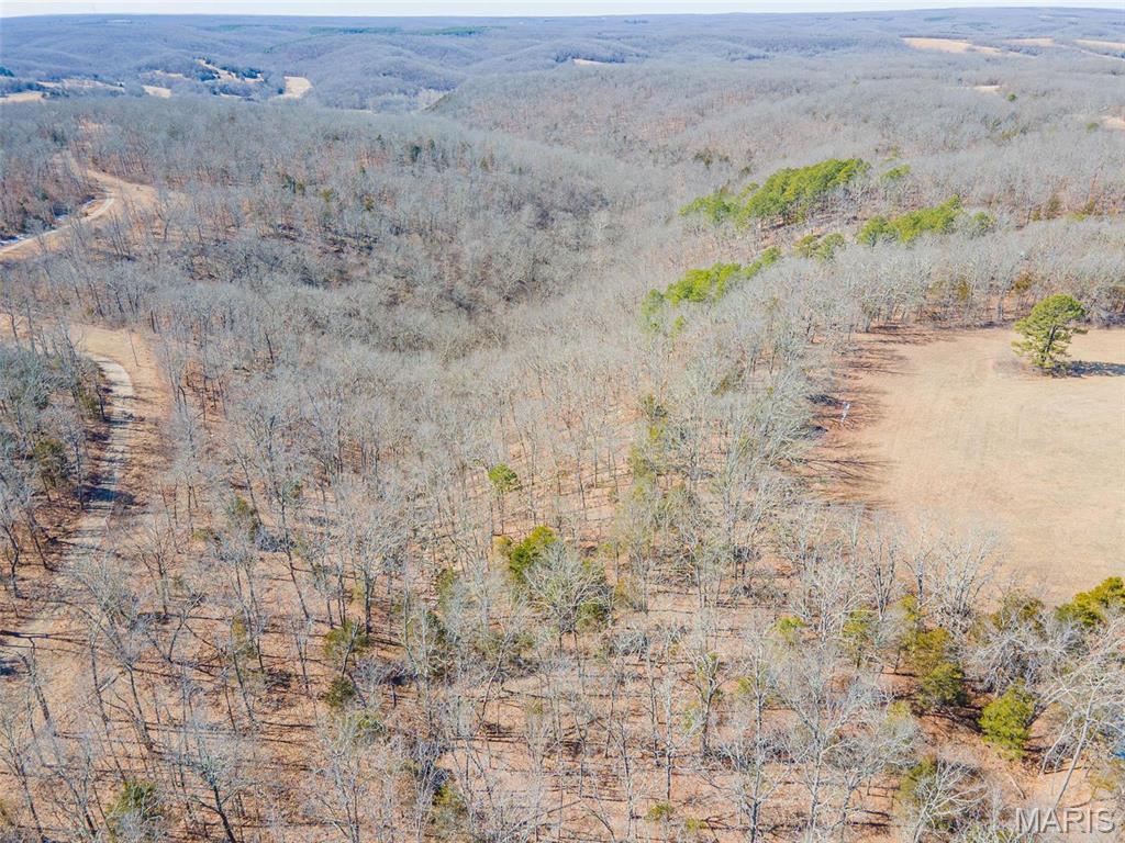 0 24.6 Acres, Highway Oo Property Photo 21