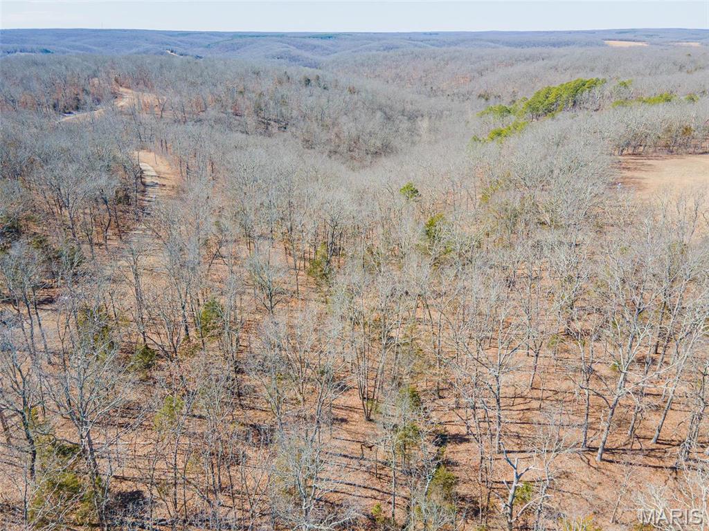 0 24.6 Acres, Highway Oo Property Photo 22