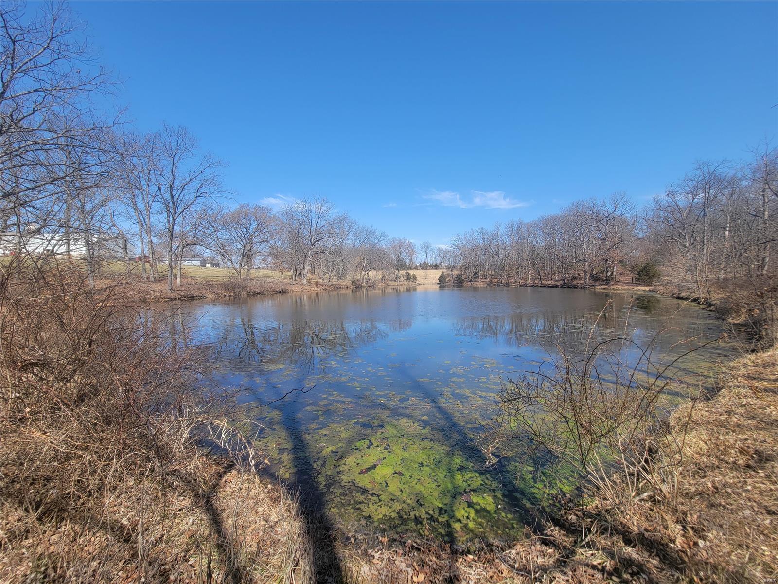 242 Gerding Road Property Photo 42
