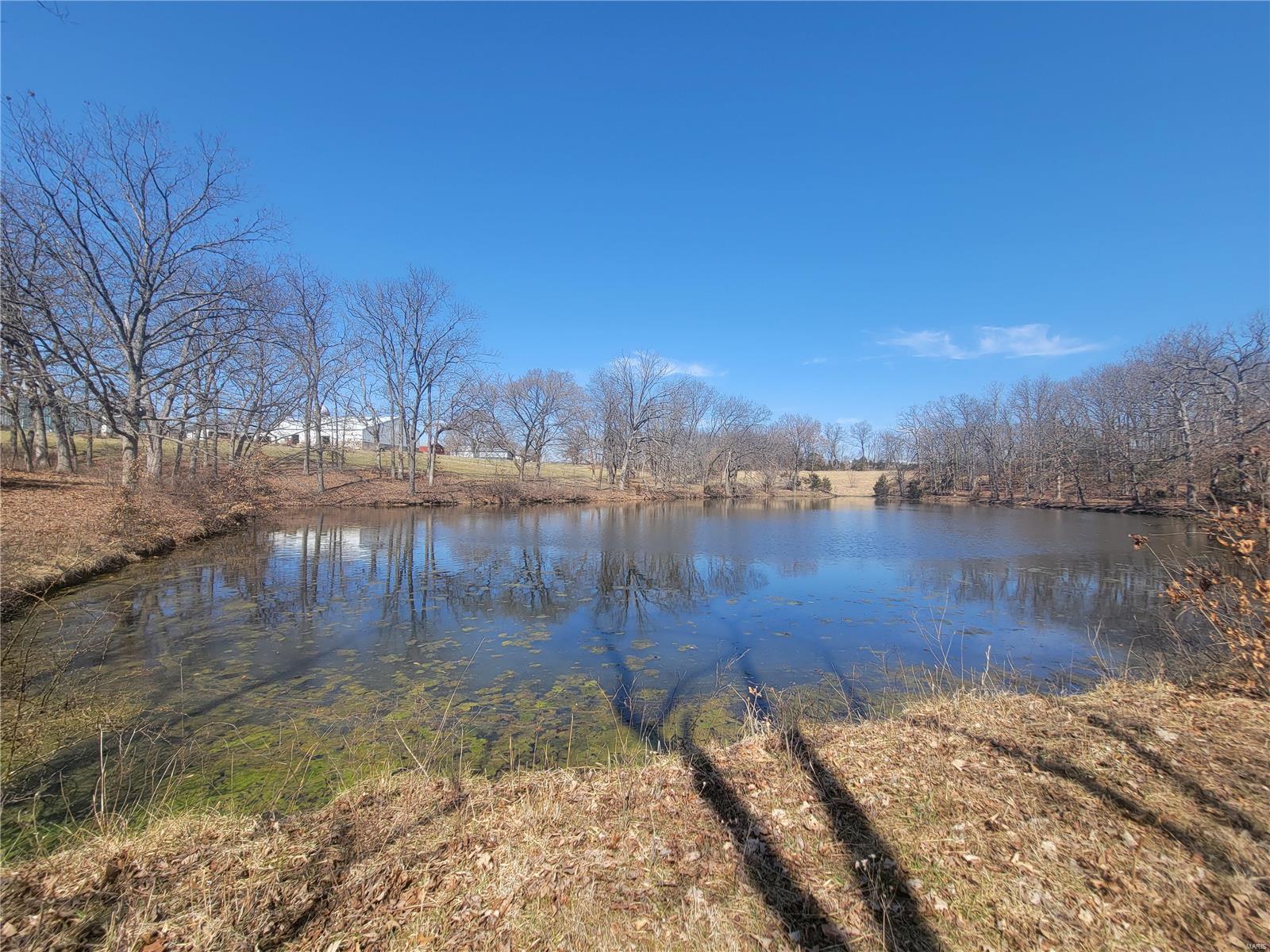 242 Gerding Road Property Photo 43