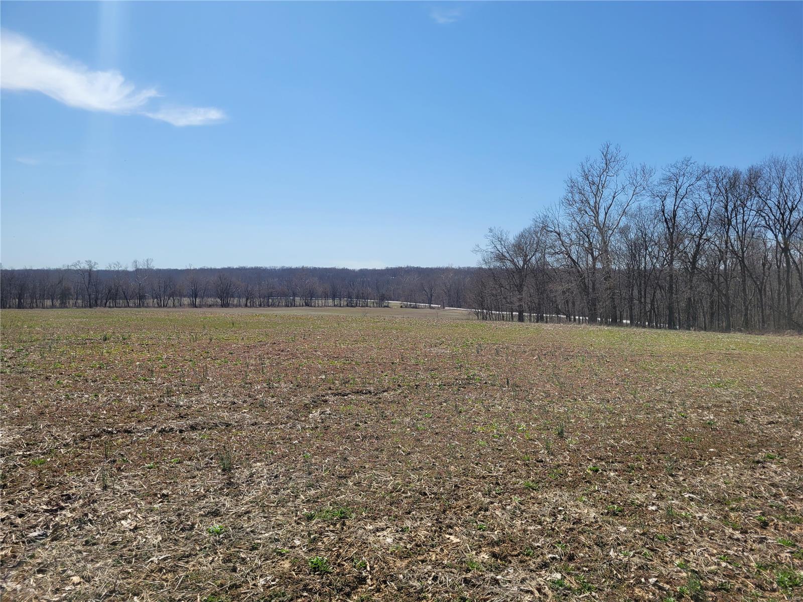 242 Gerding Road Property Photo 84