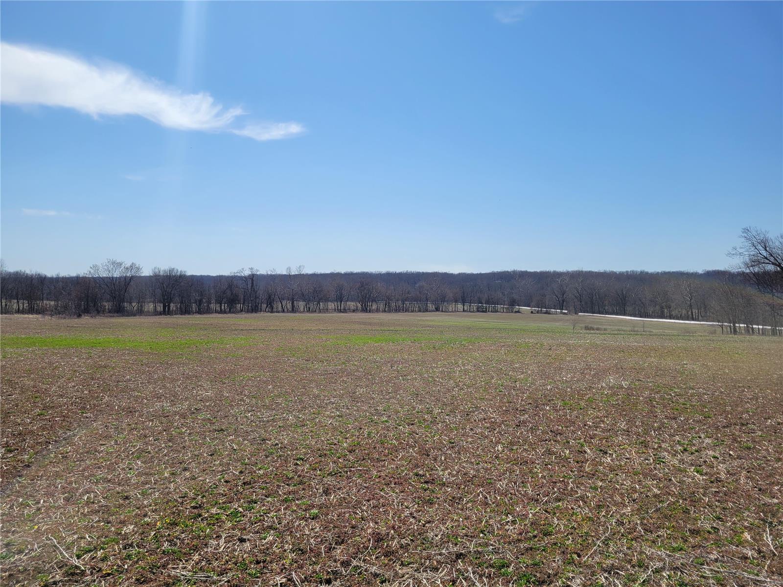 242 Gerding Road Property Photo 86