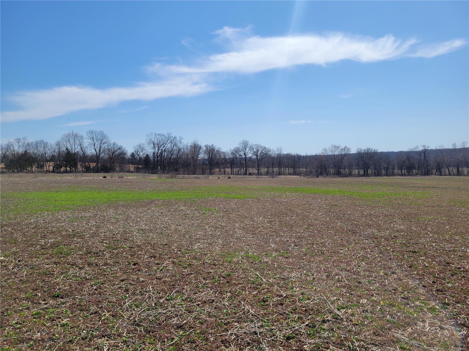 242 Gerding Road Property Photo 87