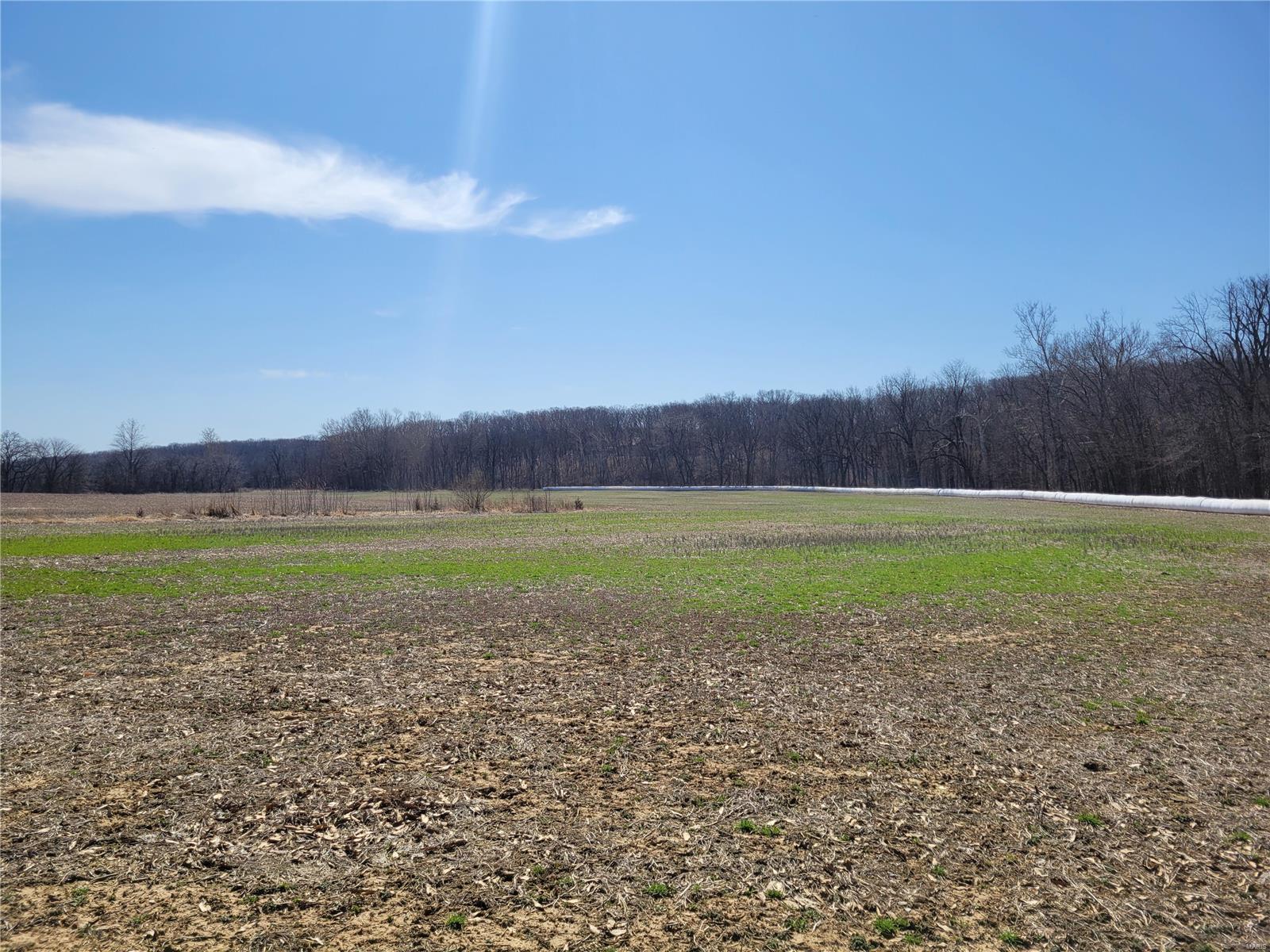 242 Gerding Road Property Photo 88