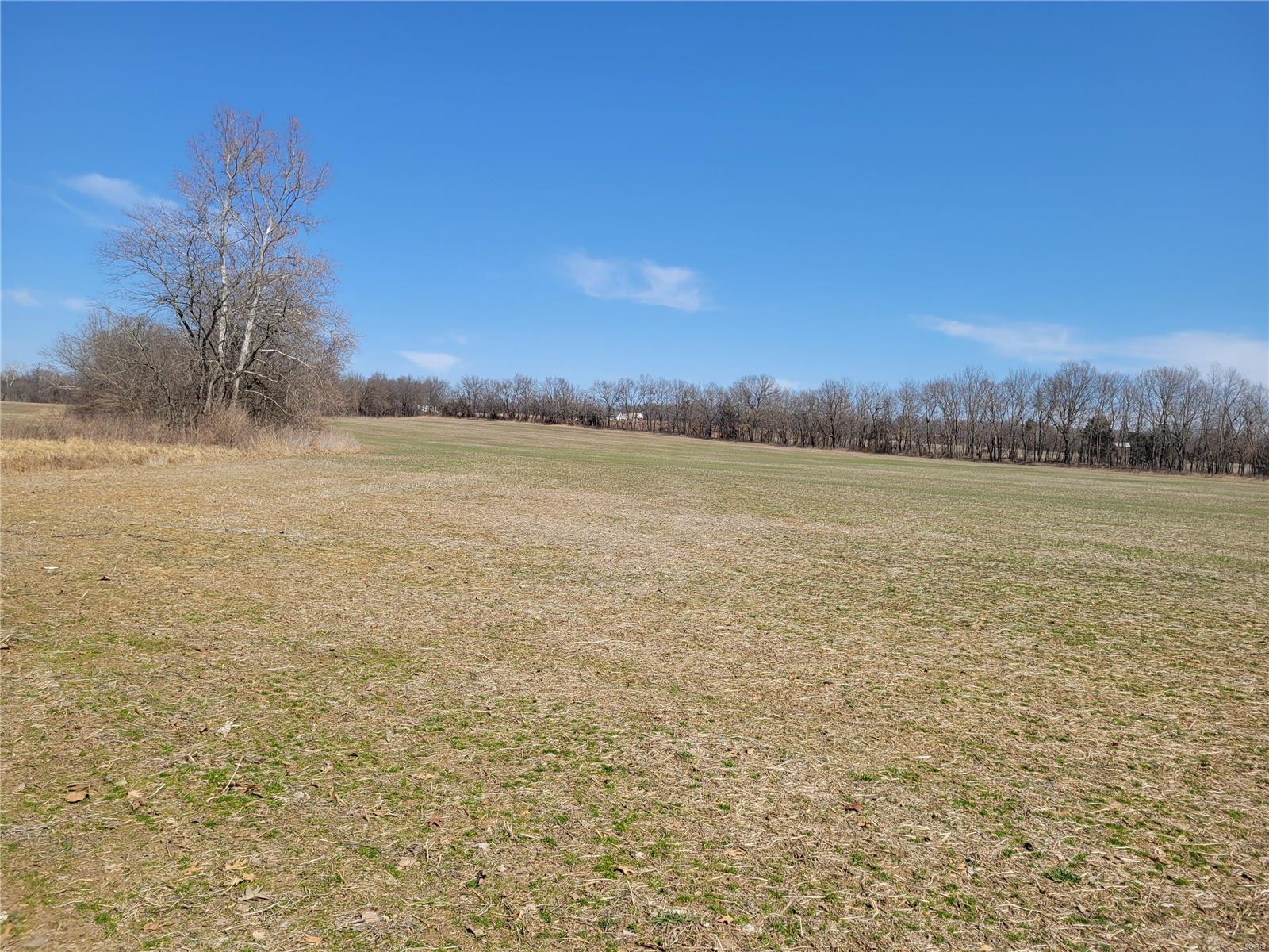 242 Gerding Road Property Photo 91