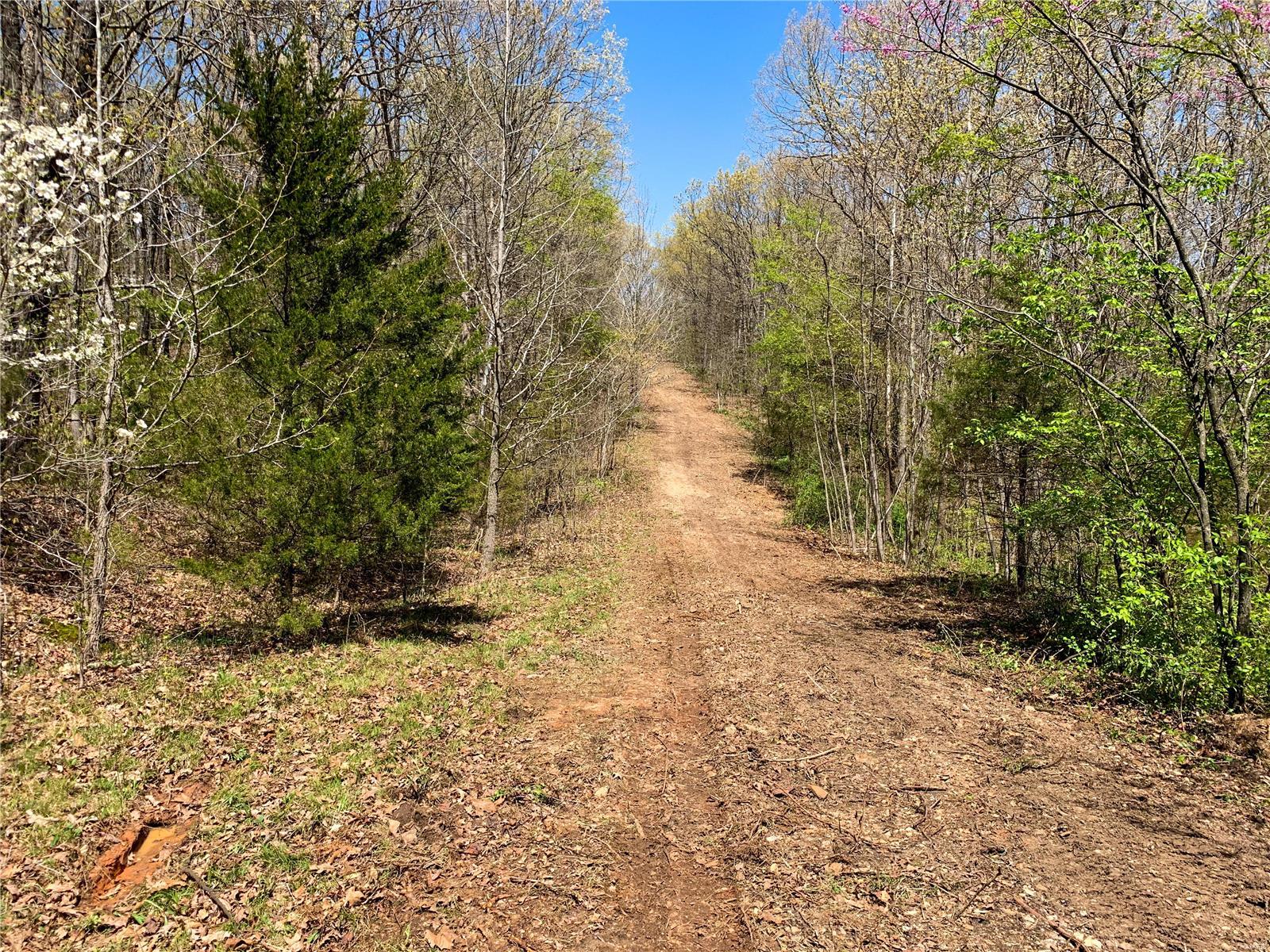 0 Klausmeier Rd Property Photo