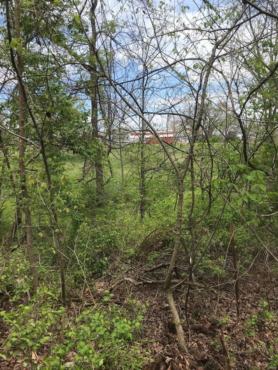 0 Klausmeier Rd Property Photo 3