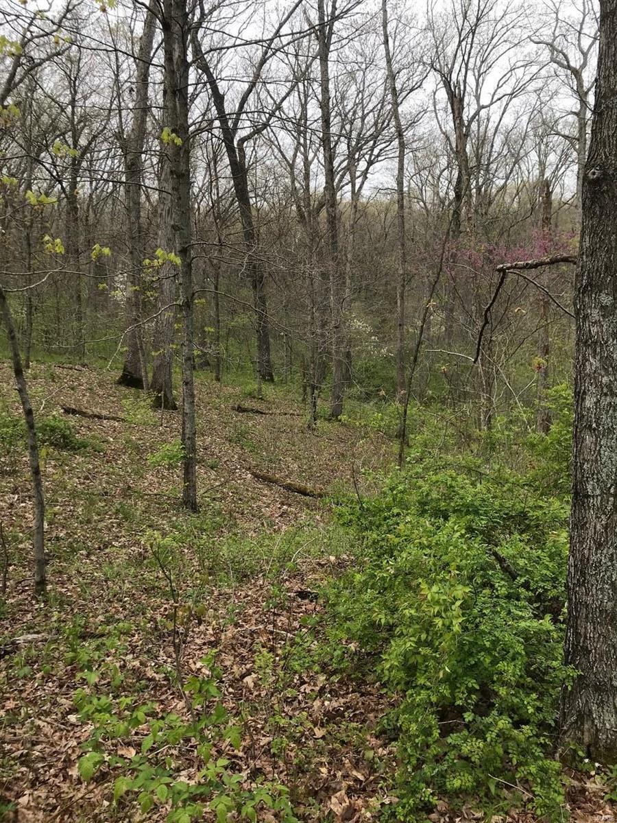 0 Klausmeier Rd Property Photo 5