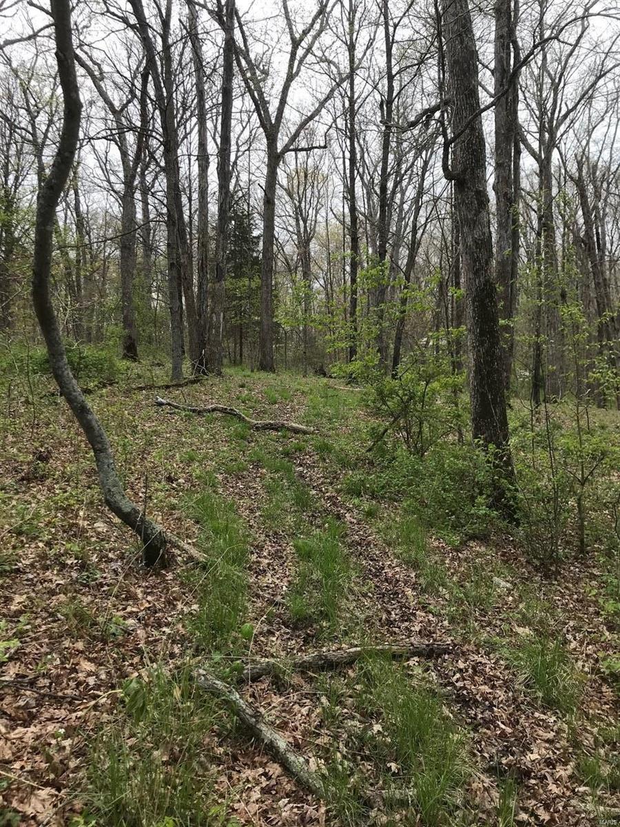 0 Klausmeier Rd Property Photo 6