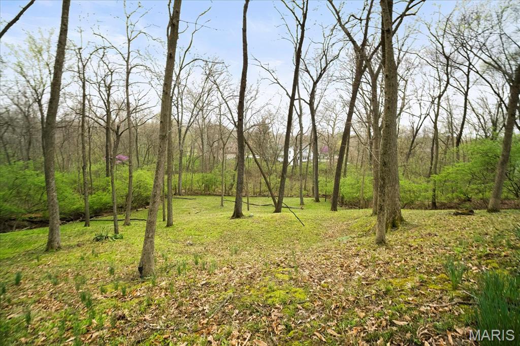 1932 Sturfield Court Property Photo 45