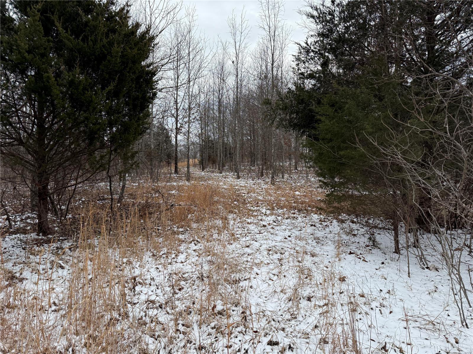 2 Bcr 924 Property Photo 24