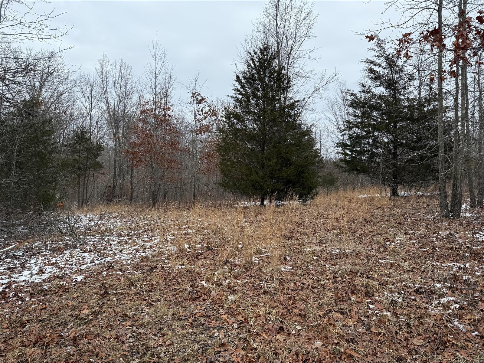 2 Bcr 924 Property Photo 31