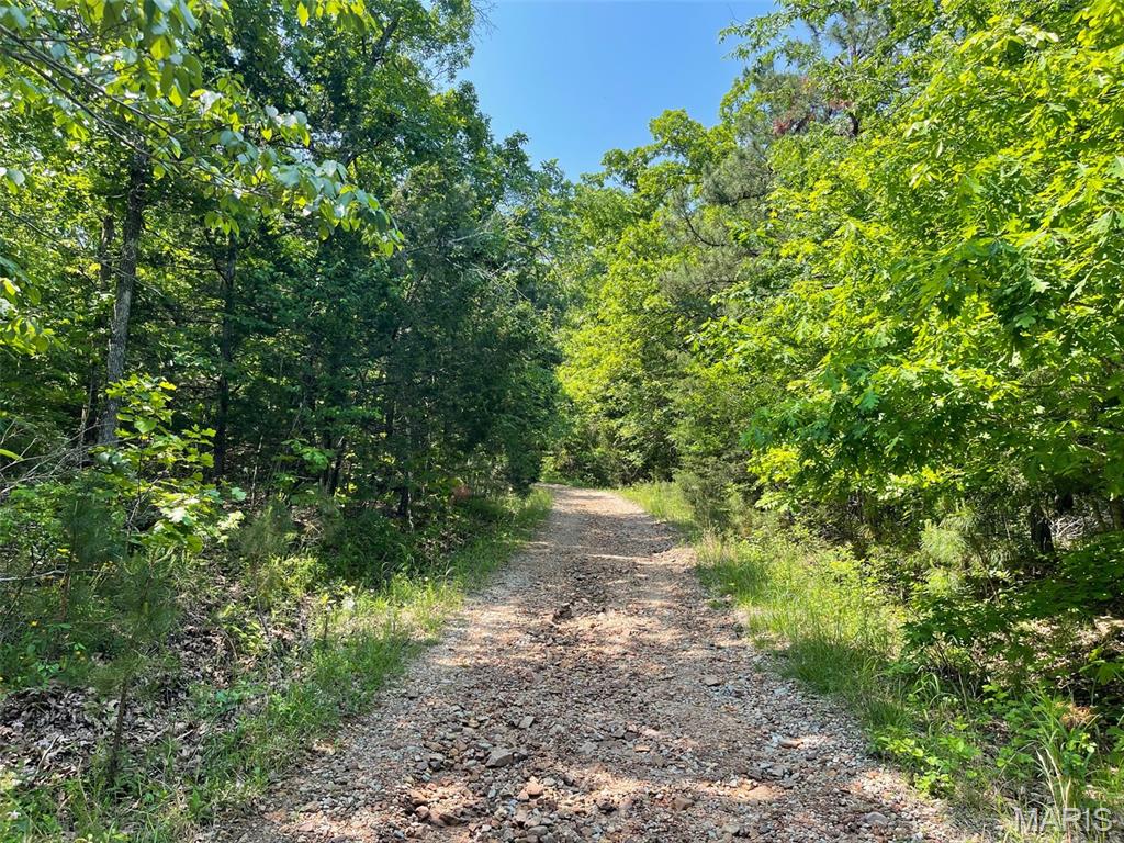 50.10 Acres Off Madison 9519 Property Photo 1